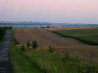 IMG_2939.JPG Photo