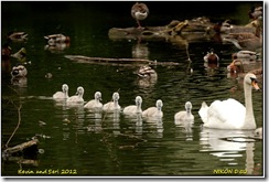Coombe Abbey D50  05-06-2012 12-42-38