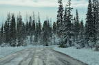 IMAGE_1000000328.JPG