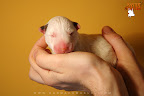 Girl 1 - day 1