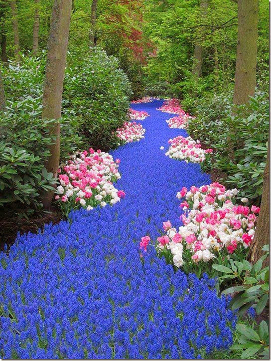 Holland Holland