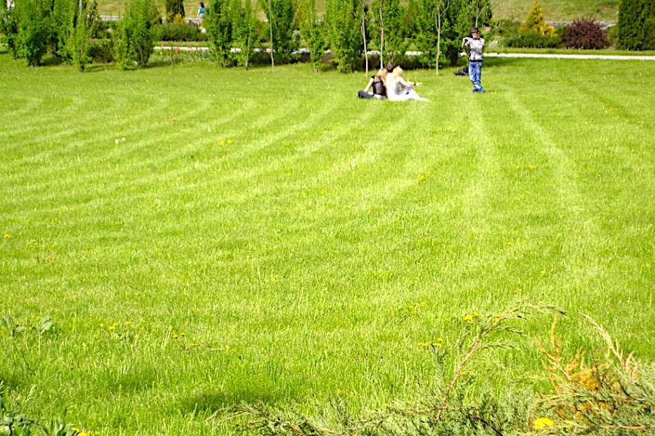 S7000090.JPG