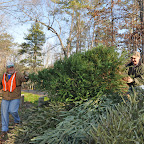 HarrisShoalsPkTreeRecycle