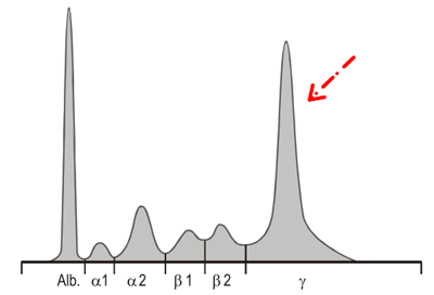 Pico Monoclonal