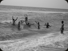 HPIM0308 HPIM0308