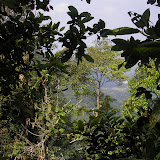 On the way up Gunung Bongkok (Daniel Quinn, June 2011)