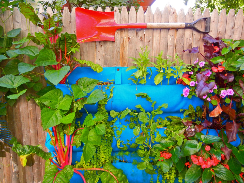 [Shovel%2520Garden%255B4%255D.jpg]