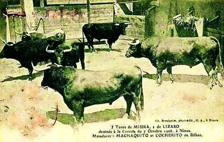 1906 Nimes 5 Miura y un Lisazo - copia