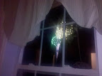 IMG_20110704_213703.jpg