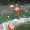 July_26_2009-123.JPG