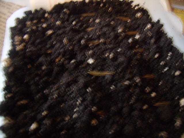 [GEDC8785%255B8%255D.jpg]