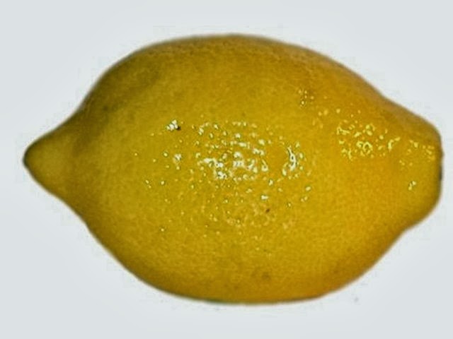 [lemon%255B4%255D.jpg]