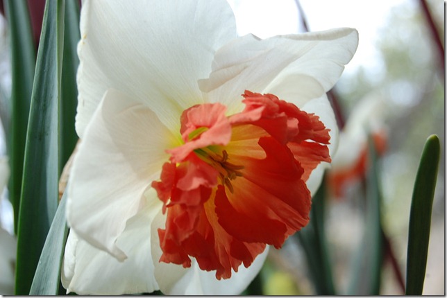 DSC_0046 DSC_0046