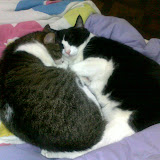 Os donos da casa
