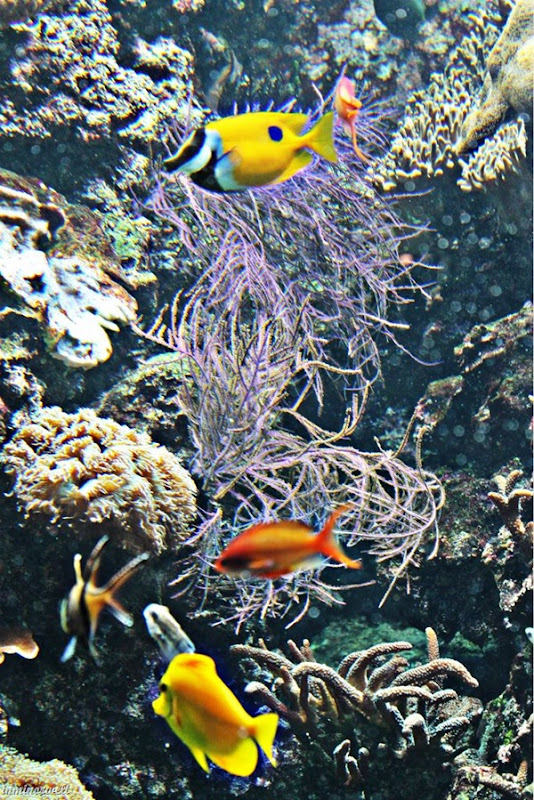 4BeFunky_HDR_1.jpg 4BeFunky_HDR_1.jpg