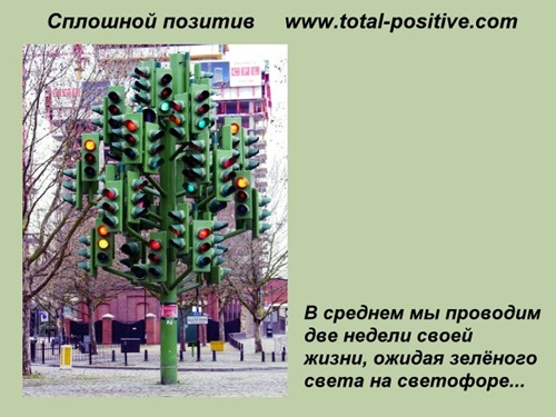 www.total-positive.com Светофор traffic-lights