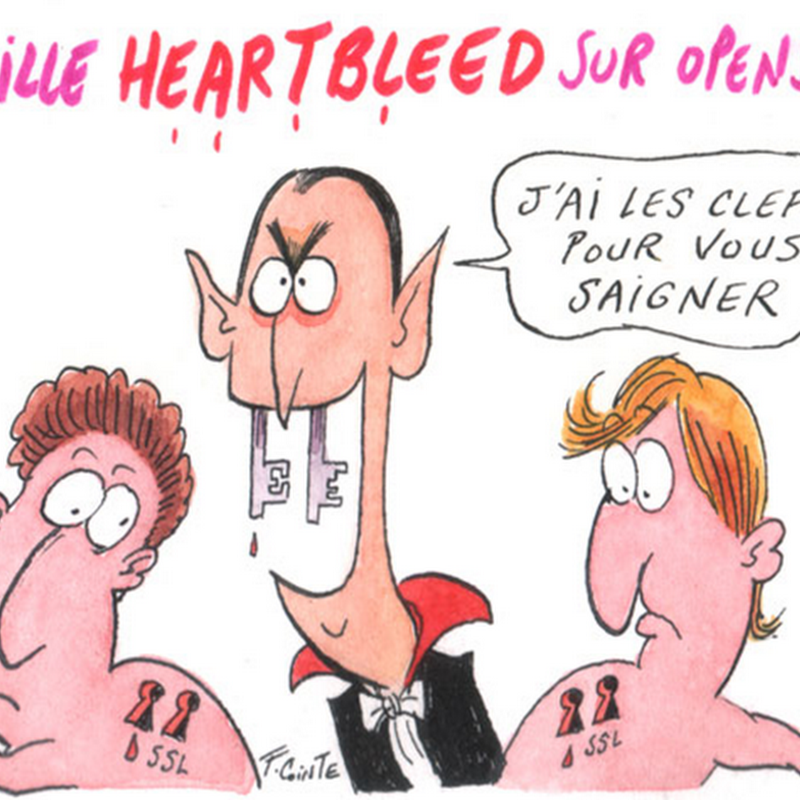 Heartbleed en image pour les nuls