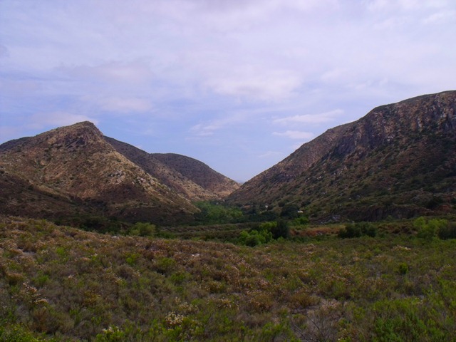 [pics%2520002%255B4%255D.jpg]