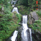 DSC02496.JPG
