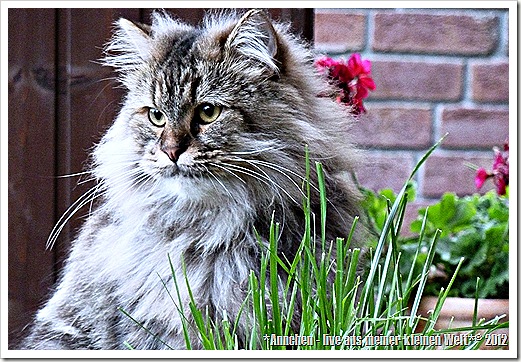 12PetPix_Frühling 12PetPix_Frühling