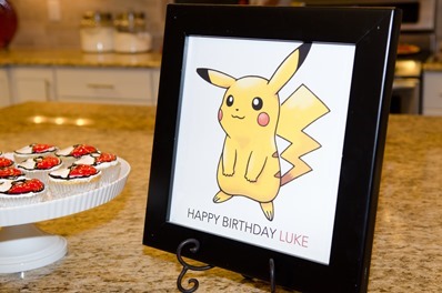 Luke's Pokemon Friend Party-17