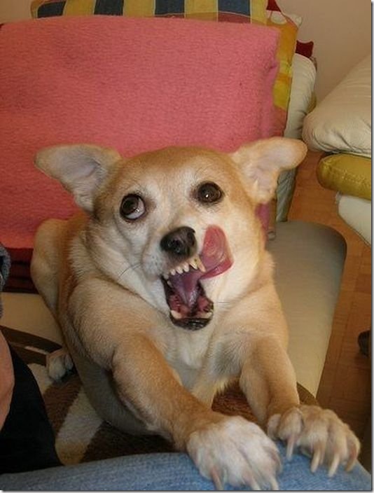 viral-picdump-a3f8ee