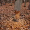 dsc05401.jpg