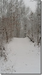 snowy access road 3