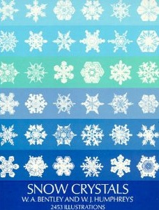 [snowflake-snow-crystals7.jpg]