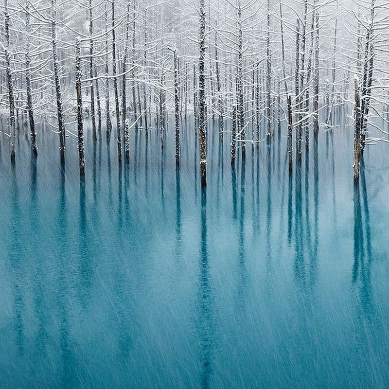 In Giappone c'è un lago incantato che cambia colore in base alla stagione