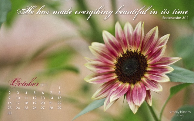 [OctoberWallpaperS5.jpg]