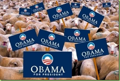 obama sheep