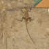 P1090448