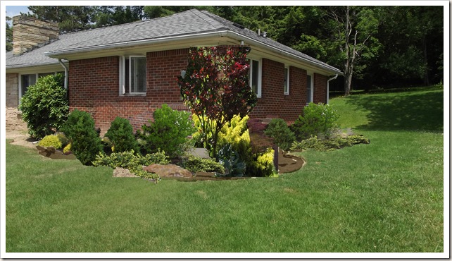 LANDSCAPING PLAN SIDE OF HOUSE