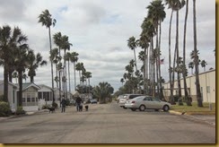 IMG_1864 IMG_1864