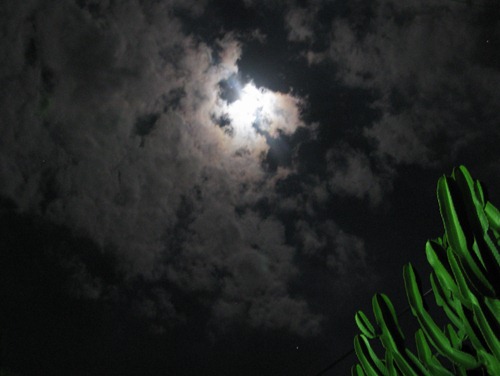 IMG_6066 IMG_6066