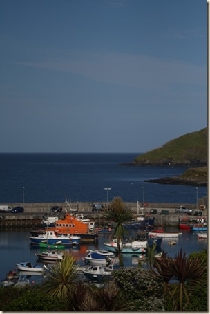 IMG_0450 IMG_0450
