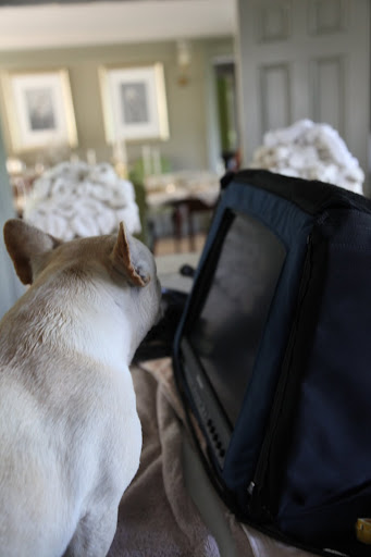 OK, Franny - CUT!!!  I want to check out the footage on this monitor.