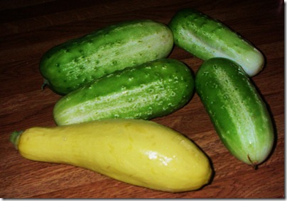 Garden8