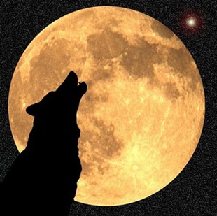 wolf_moon