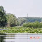 DSCN8261.JPG
