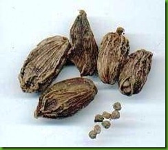 Amomum subulatum1 Amomum subulatum1