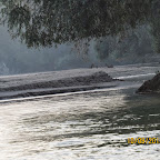 IMG_6462.JPG