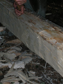 An Ash log is hewn flat on one side to become a floor joist.