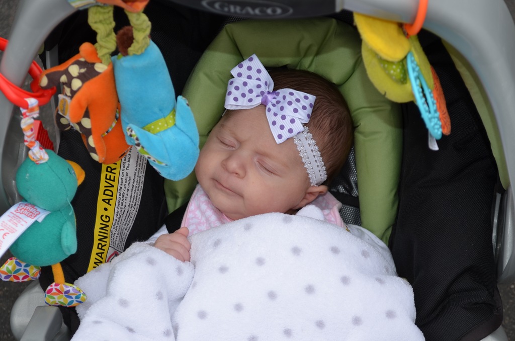 [DSC_4015%255B4%255D.jpg]