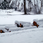 20091201 Allgaeu 1031 [640x480].JPG