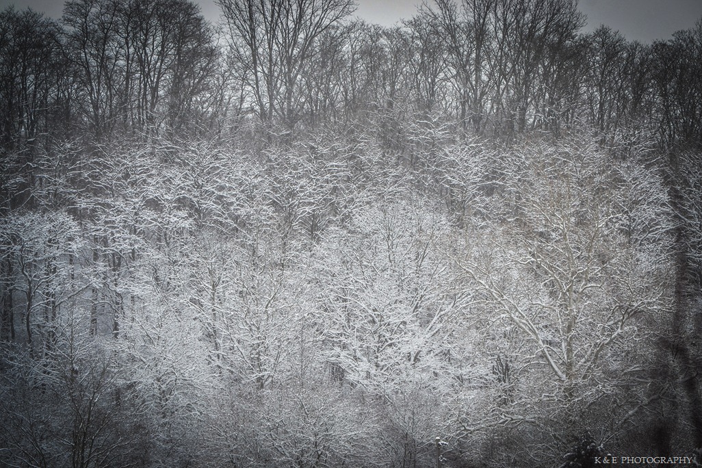 [winter%2520scene%2520%25281%2520of%25201%2529-30%255B3%255D.jpg]