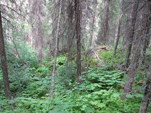 [IMG_0930%255B2%255D.jpg]