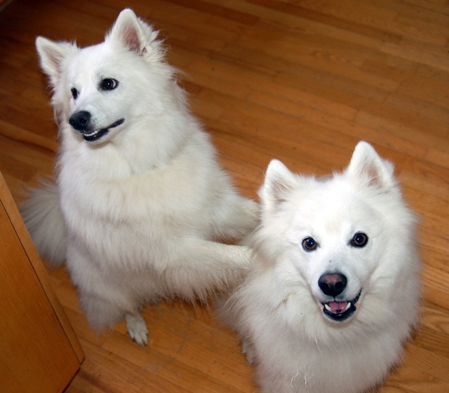 [DSC_5354%255B4%255D.jpg]