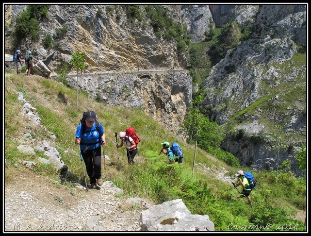 Picos 481 Picos 481
